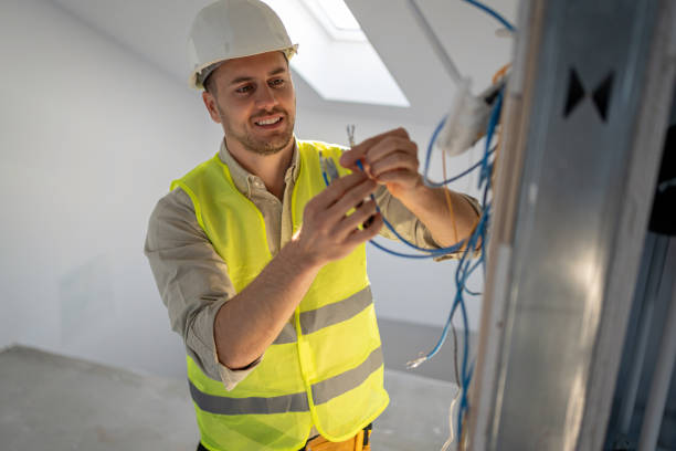 Best Electric Panel Repair  in Crane, MO